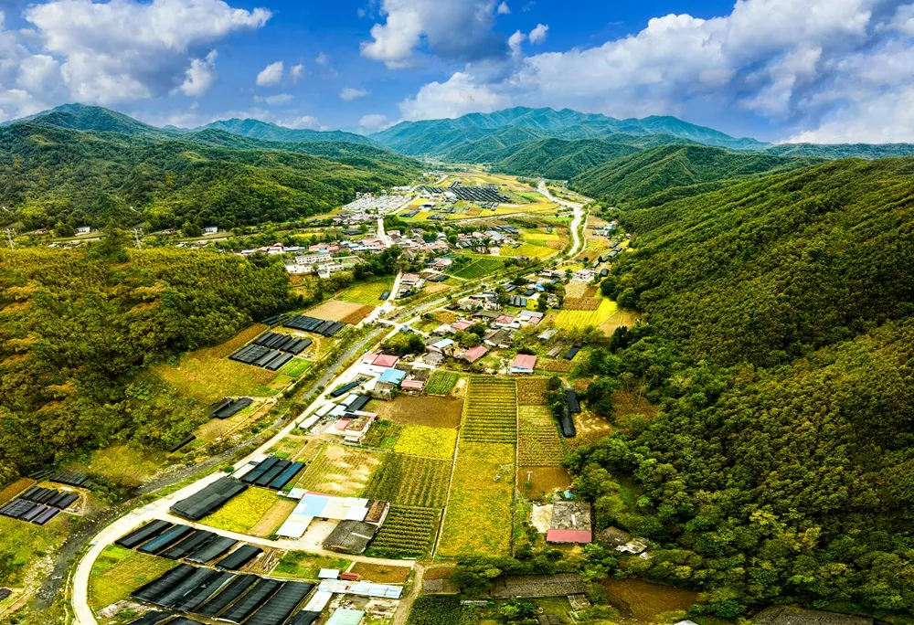 47.生态乡村 作者：唐潇