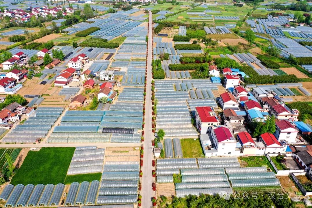  叶亚楠 《汉台现代农业蔬菜大棚》