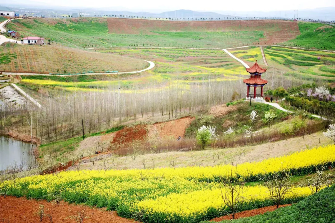 山花漫漫