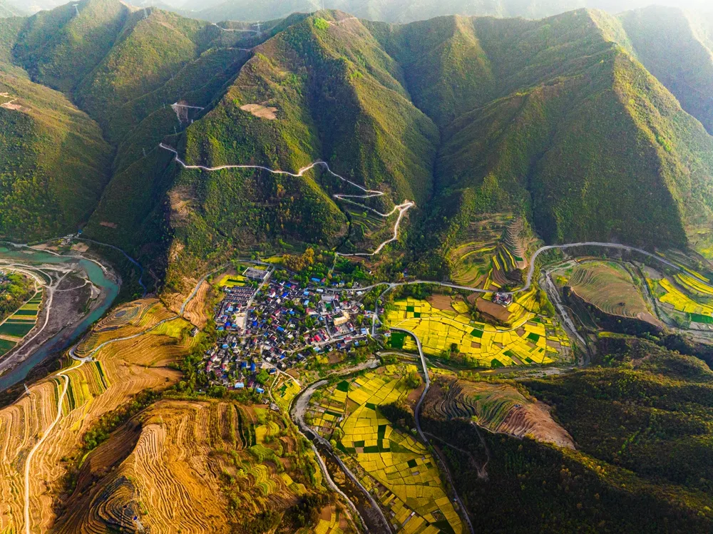  29.金色山村 作者：徐一涵