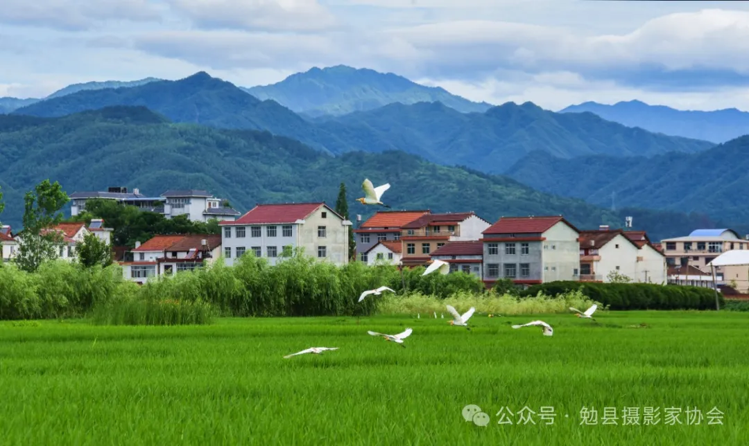 《生态家园》 杨文忠