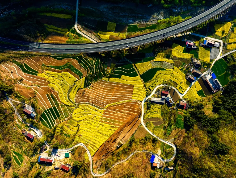  22.花海通途 作者：唐潇