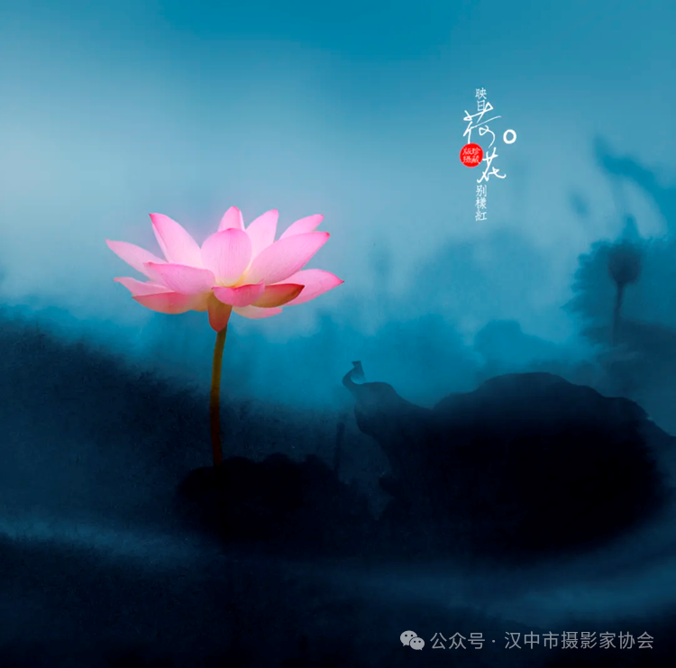 微信图片_20241010185503