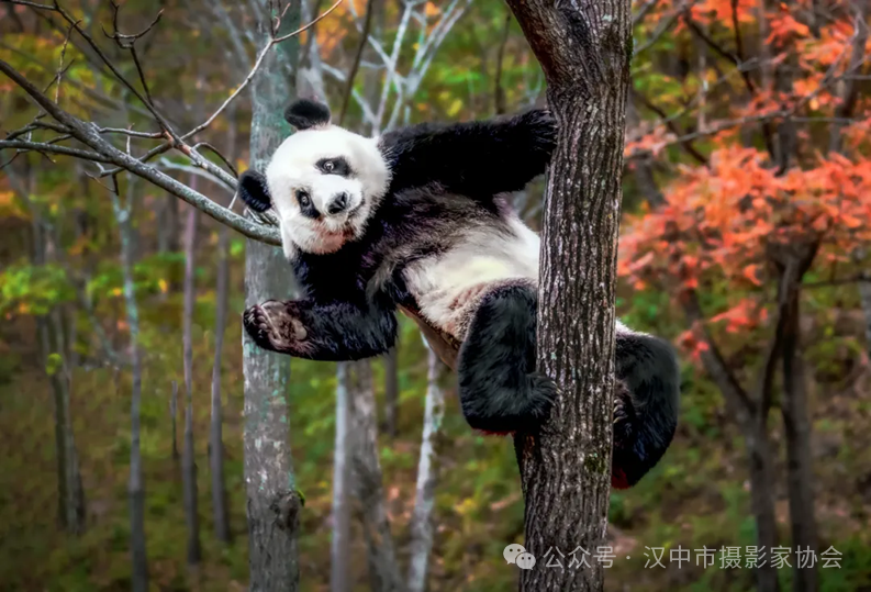 微信图片_20241010185503