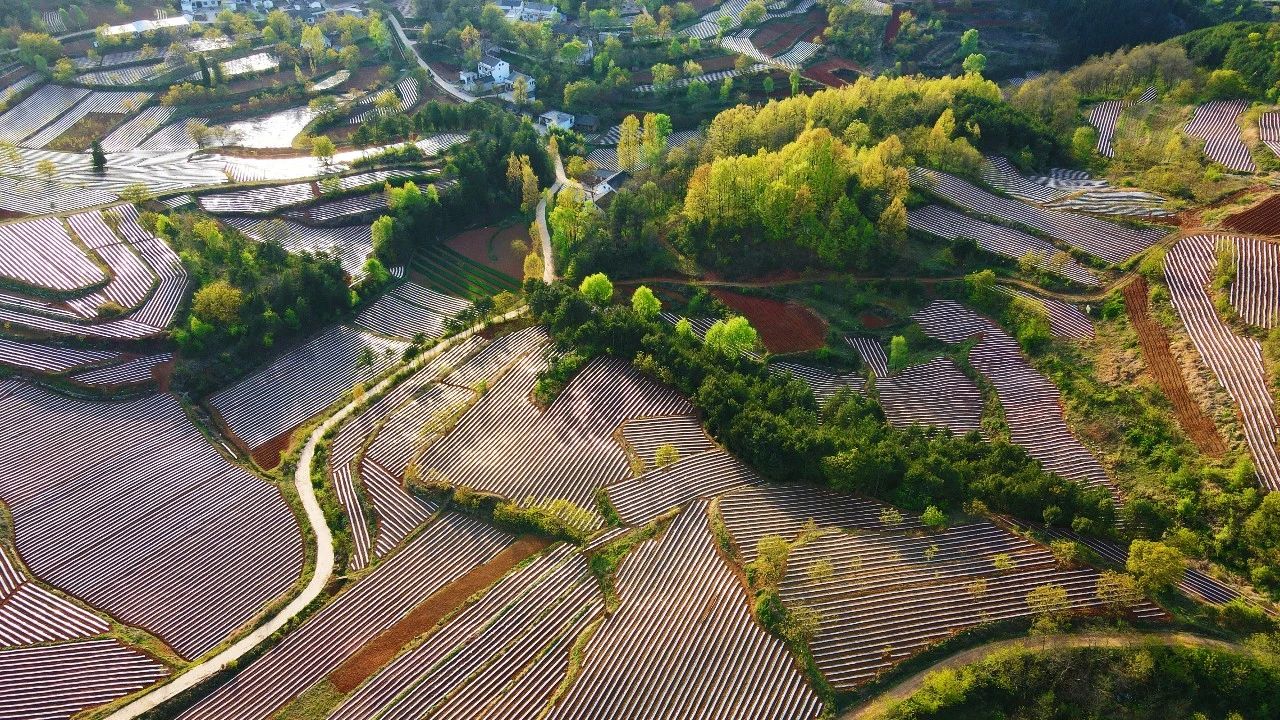 《大地指纹》董馨瑶 摄