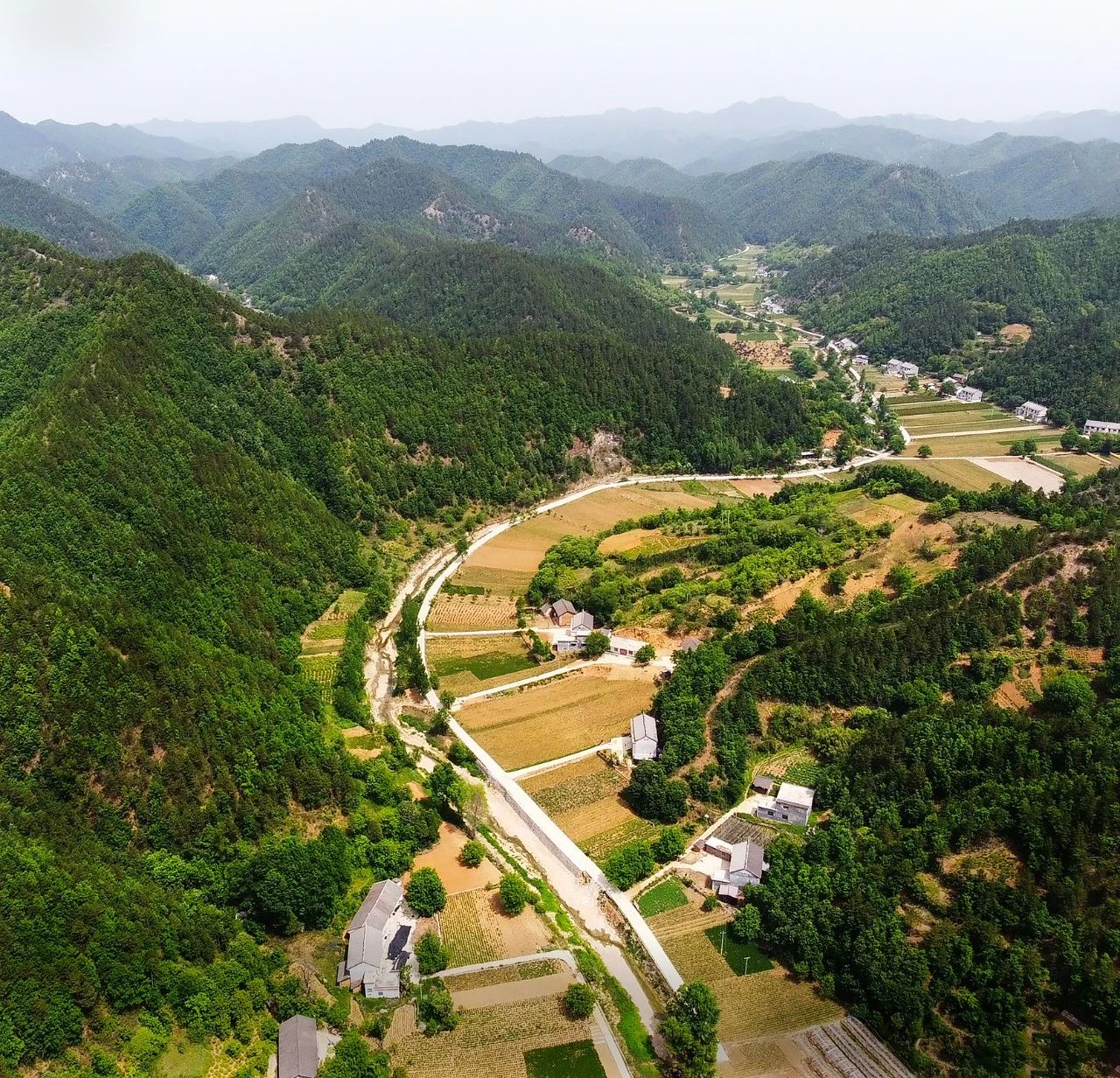 《丰收在望》 全玉民 摄