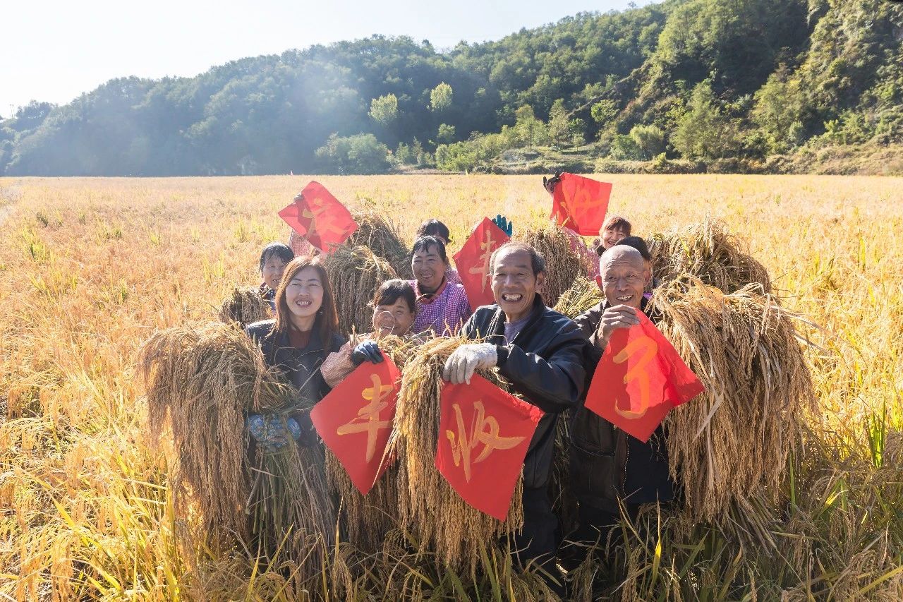 《喜获丰收》 全玉民 摄
