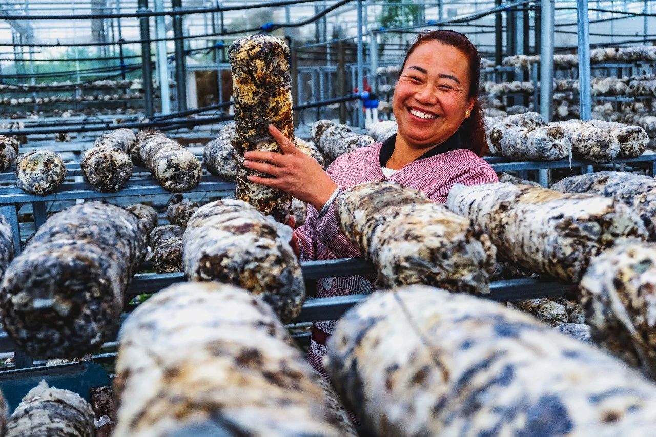  《丰收的喜悦》 刘发善 摄